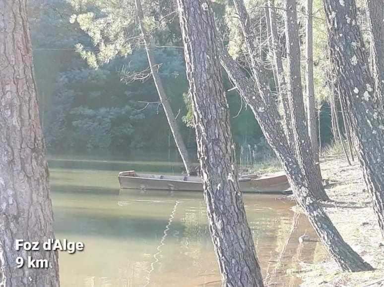 Casa Da Vila Figueiro Dos Vinhos Exteriér fotografie