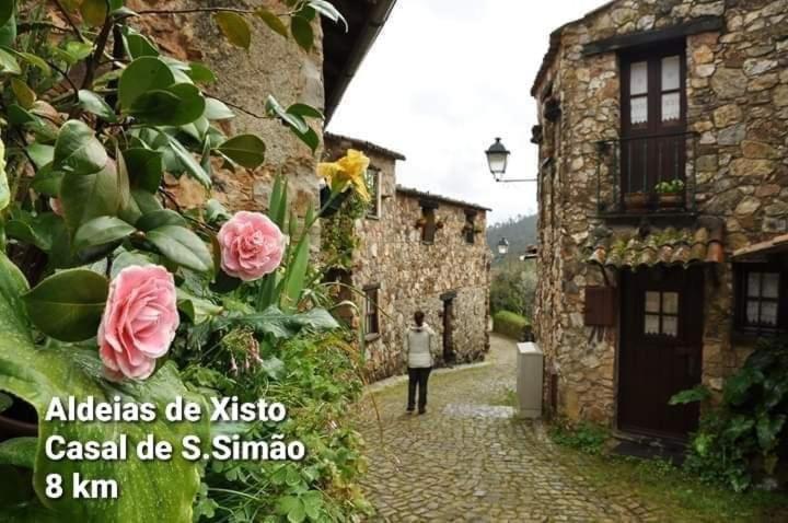 Casa Da Vila Figueiro Dos Vinhos Exteriér fotografie